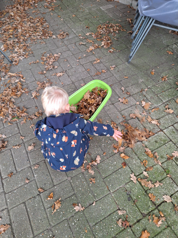Es ist Herbst