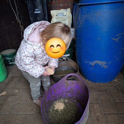 Pferdefutter zubereiten